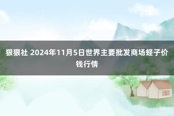 狠狠社 2024年11月5日世界主要批发商场蛏子价钱行情