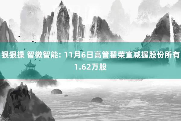 狠狠操 智微智能: 11月6日高管翟荣宣减握股份所有1.62万股