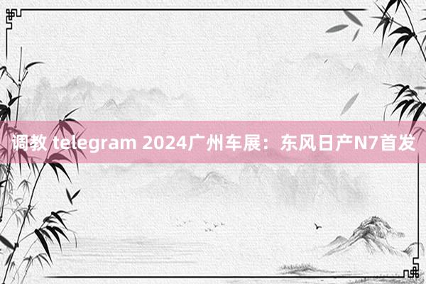 调教 telegram 2024广州车展：东风日产N7首发