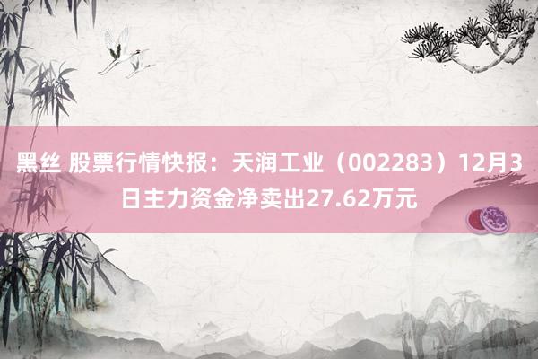 黑丝 股票行情快报：天润工业（002283）12月3日主力资金净卖出27.62万元