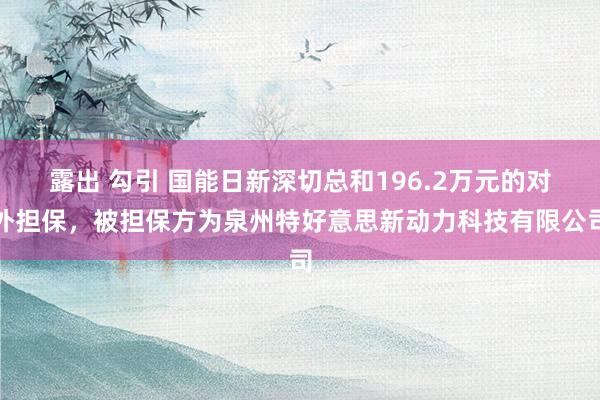 露出 勾引 国能日新深切总和196.2万元的对外担保，被担保方为泉州特好意思新动力科技有限公司