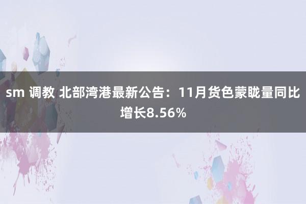 sm 调教 北部湾港最新公告：11月货色蒙眬量同比增长8.56%