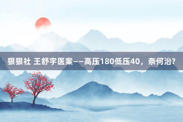 狠狠社 王舒宇医案——高压180低压40，奈何治?