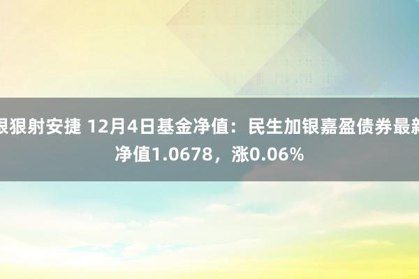 狠狠射安捷 12月4日基金净值：民生加银嘉盈债券最新净值1.0678，涨0.06%