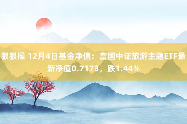 狠狠操 12月4日基金净值：富国中证旅游主题ETF最新净值0.7173，跌1.44%