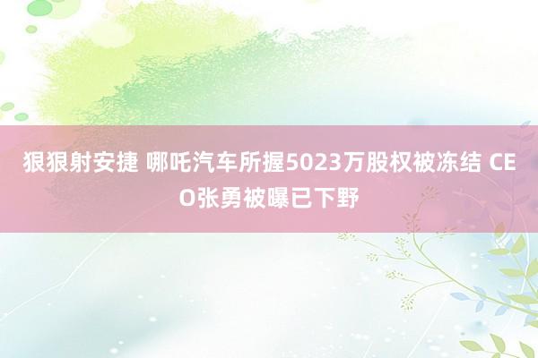 狠狠射安捷 哪吒汽车所握5023万股权被冻结 CEO张勇被曝已下野