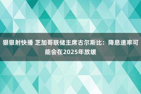 狠狠射快播 芝加哥联储主席古尔斯比：降息速率可能会在2025年放缓