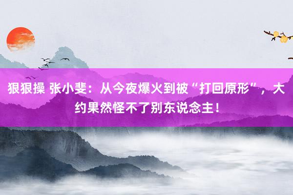 狠狠操 张小斐：从今夜爆火到被“打回原形”，大约果然怪不了别东说念主！