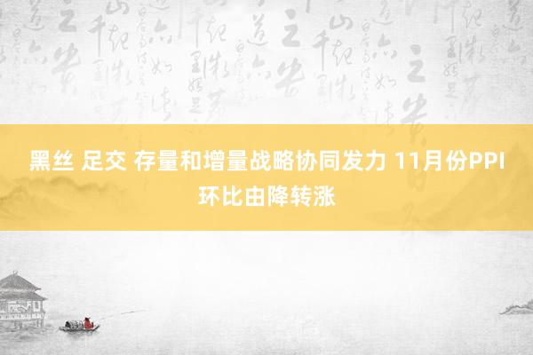 黑丝 足交 存量和增量战略协同发力 11月份PPI环比由降转涨