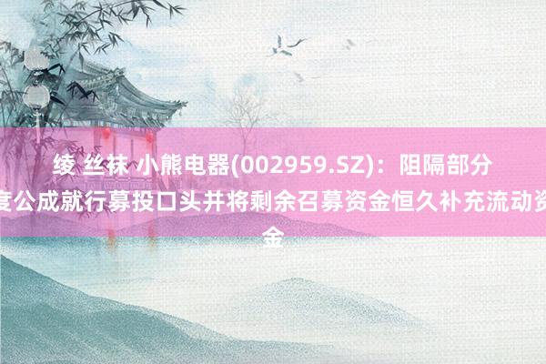 绫 丝袜 小熊电器(002959.SZ)：阻隔部分初度公成就行募投口头并将剩余召募资金恒久补充流动资金