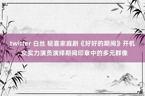 twitter 白丝 轻喜家庭剧《好好的期间》开机, 众实力演员演绎期间印章中的多元群像