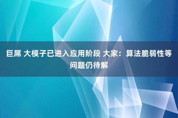 巨屌 大模子已进入应用阶段 大家：算法脆弱性等问题仍待解