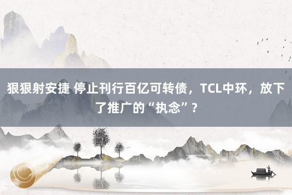 狠狠射安捷 停止刊行百亿可转债，TCL中环，放下了推广的“执念”？