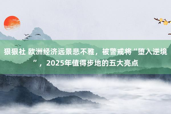 狠狠社 欧洲经济远景悲不雅，被警戒将“堕入逆境”，2025年值得步地的五大亮点