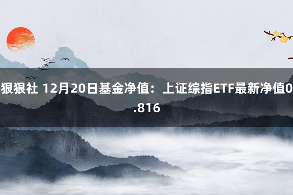 狠狠社 12月20日基金净值：上证综指ETF最新净值0.816