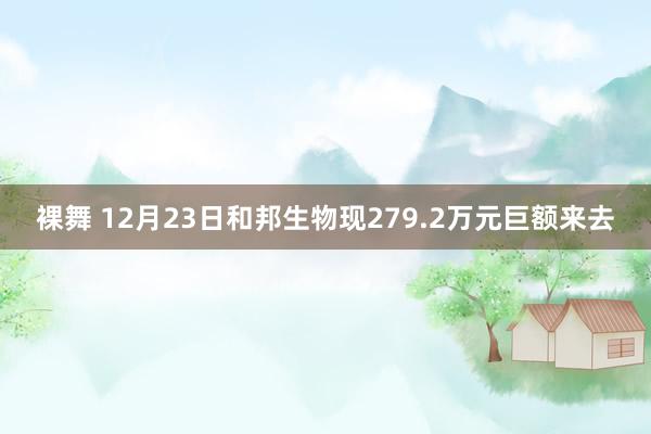 裸舞 12月23日和邦生物现279.2万元巨额来去