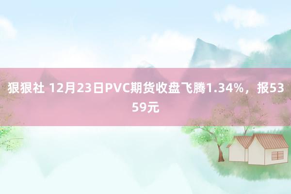 狠狠社 12月23日PVC期货收盘飞腾1.34%，报5359元