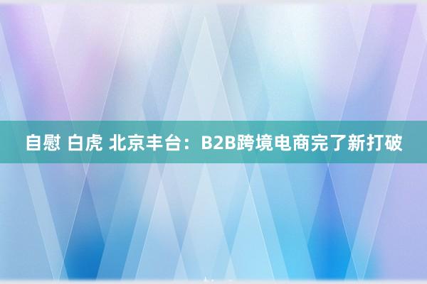 自慰 白虎 北京丰台：B2B跨境电商完了新打破