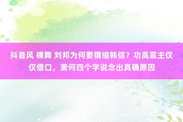 抖音风 裸舞 刘邦为何要猬缩韩信？功高震主仅仅借口，萧何四个字说念出真确原因