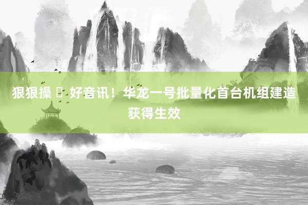 狠狠操 ​好音讯！华龙一号批量化首台机组建造获得生效