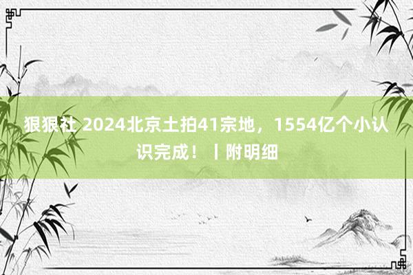 狠狠社 2024北京土拍41宗地，1554亿个小认识完成！丨附明细