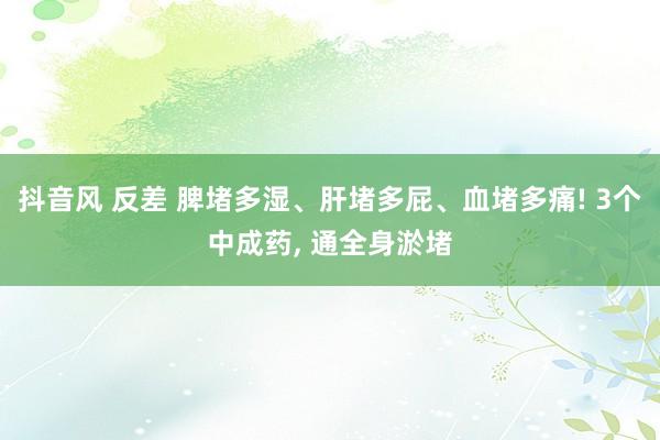 抖音风 反差 脾堵多湿、肝堵多屁、血堵多痛! 3个中成药, 通全身淤堵