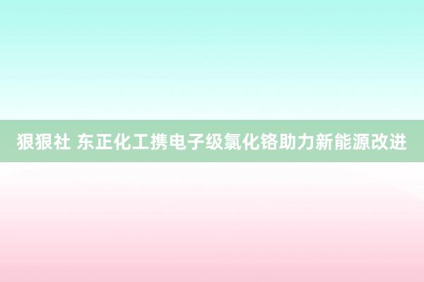 狠狠社 东正化工携电子级氯化铬助力新能源改进