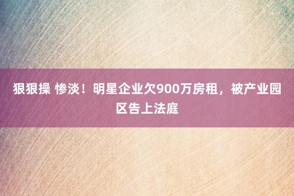 狠狠操 惨淡！明星企业欠900万房租，被产业园区告上法庭