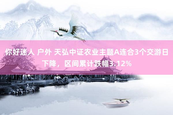 你好迷人 户外 天弘中证农业主题A连合3个交游日下降，区间累计跌幅3.12%