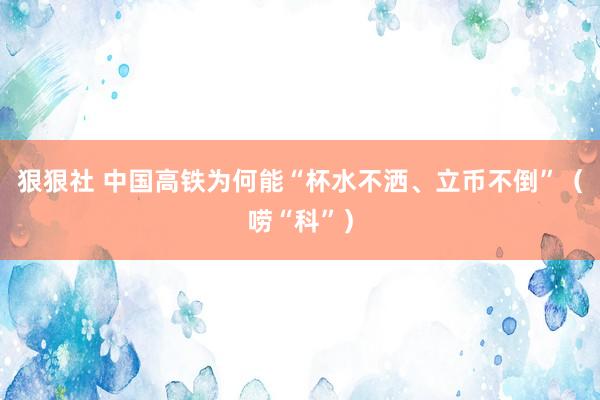 狠狠社 中国高铁为何能“杯水不洒、立币不倒”（唠“科”）