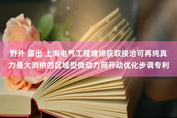 野外 露出 上海电气工程缠绵获取接洽可再纯真力最大消纳的区域型微动力网开动优化步调专利