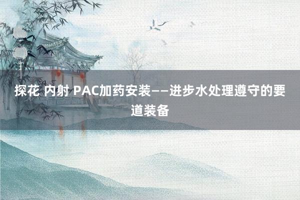 探花 内射 PAC加药安装——进步水处理遵守的要道装备