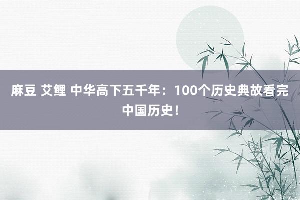 麻豆 艾鲤 中华高下五千年：100个历史典故看完中国历史！