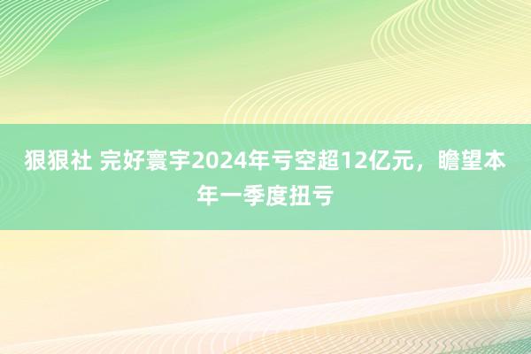 狠狠社 完好寰宇2024年亏空超12亿元，瞻望本年一季度扭亏