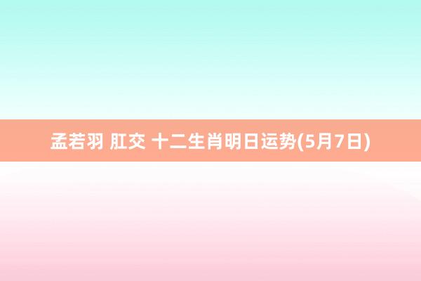 孟若羽 肛交 十二生肖明日运势(5月7日)