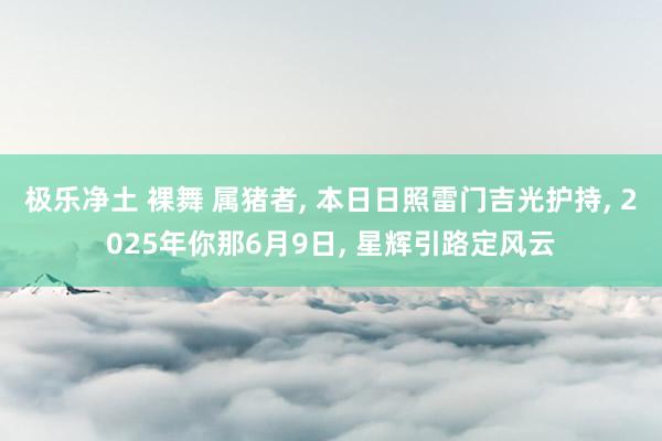 极乐净土 裸舞 属猪者, 本日日照雷门吉光护持, 2025年你那6月9日, 星辉引路定风云